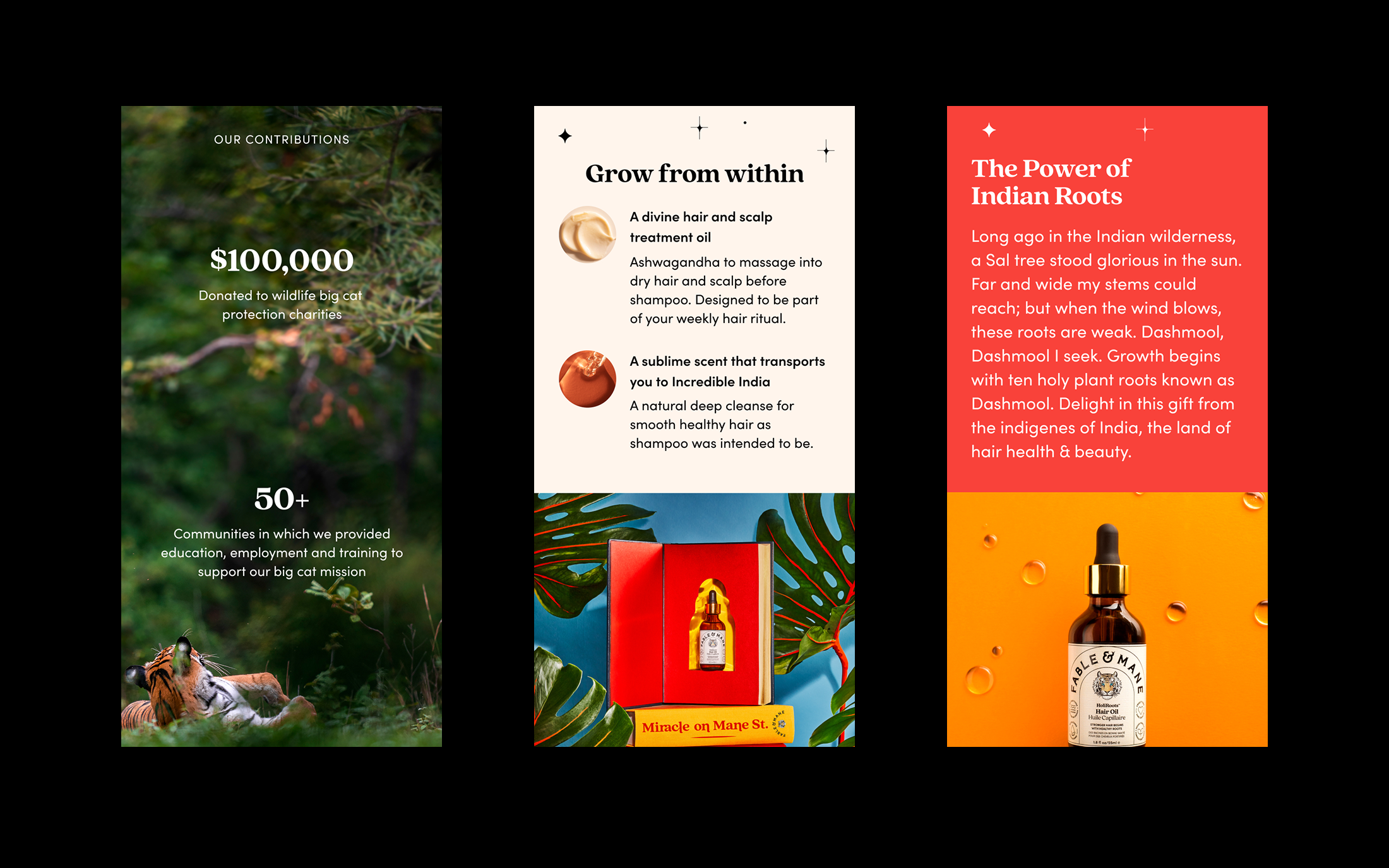 Fable & Mane Mobile Design